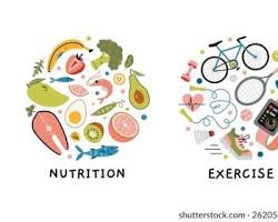 The Non-Negotiable Pillars of Vitality