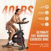 Exercise Bike, Adjustable Magnetic Resistance Stationary Bike, Indoor Cycling Bike for Home Cardio, Workout Bike with Silent Belt Drive